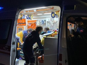 Köpeğe Çarpmamak İçin Manevra Yaptı, Çöp Kutusuna Çarptı: 4 Yaralı