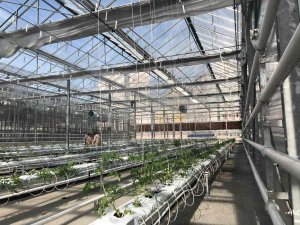 Modern Seralara 7 Milyon Liraya Kadar Hibe Desteği