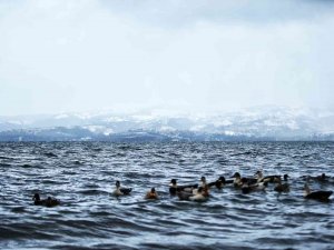 Sapanca Gölü İçin Rahatlatan Açıklama