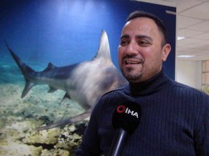 Koruma Altındaki Köpekbalığı, Kıyıya Yakın Görüntülendi