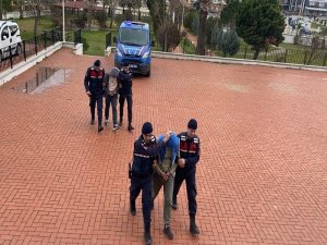 Ayvalık’ta Göçmen Kaçakçıları Yakalandı
