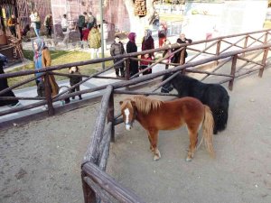 Sömestr Tatiline Giren Öğrencilerin Adresi Keçiören Oldu