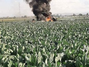 Cezayir’de Askeri Helikopter Düştü: 3 Ölü
