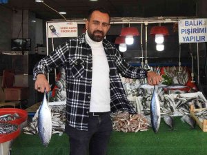 Kebap Diyarı Kilis’te Balık Dönemi