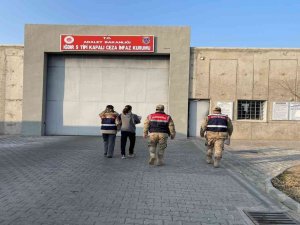 Iğdır’da Resmi Belgede Sahtecilik Suçundan 1 Kişi Tutuklandı