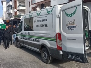 Otomobilin Arka Koltuğunda Yaşanan Her Şeyi İzledi