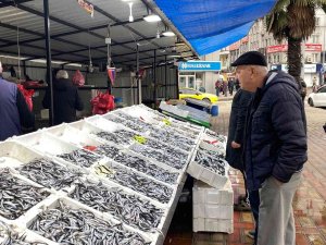 Havaların Soğumasıyla Hamsinin 15 Liraya Düşmesi Bekleniyor