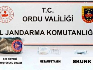 Ordu’da Uyuşturucu Operasyonunda 1 Kişi Tutuklandı