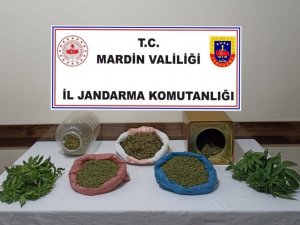 Mardin’de Bir Şahsın Evinde Yapılan Aramada Uyuşturucu Ele Geçirildi