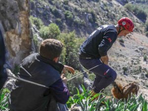 Mahsur Kalan 3 Keçiyi İtfaiye Kurtardı