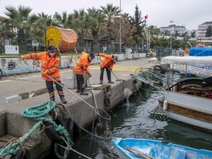 Çevre Koruma Ve Kontrol Daire Başkanı Halisdemir:"daha Temiz Ve Daha Yeşil Bir Mersin İçin Çalıştık"