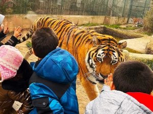 Sevgi Evlerinde Kalan Çocuklar Ara Tatilde Doyasıya Eğlendi