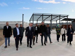 Yalova Belediyesi 1. Sınıf Atık Getirme Merkezi Kuruyor