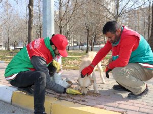 Karaköprü’de Sokak Hayvanları İçin Dönüştürülmüş Kaplar