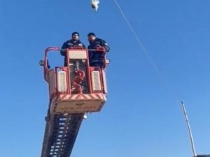 Elektrik Tellerinde Mahsur Kalan Güvercinler Kurtarıldı