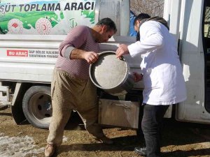 ’Soğuk Süt Zinciri’ Projesiyle Besiciler Emeklerinin Karşılığını Almaya Başladı