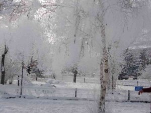 Ardahan’ın Göle İlçesi Buz Kesti: Eksi 28 Dereceyle Türkiye’nin En Soğuk Yerleşim Yeri Oldu