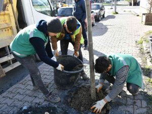 Esenyurt’ta Sorunlar Yeşillendirmeyle Çözülüyor