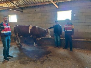 Iğdır Jasat’tan Büyük Başarı: 111 Olay Aydınlatıldı