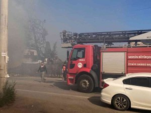 Yangın Devasa Ağacı Sardı, Ekiplerin Müdahalesi İle Eve Sıçramadan Söndürüldü