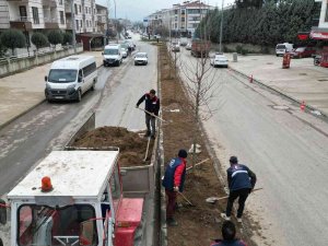 Milyonlarca Çiçek Diktiler