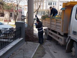 Karesi Belediyesi’nden Ağaçlara Kış Bakımı