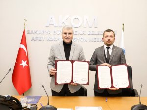 Bu Projeye 10 Milyon Tl Ayrıldı: Sokak Hayvanlarının Kontrolsüz Üremeleri Engellenecek