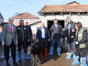 Samsun’da Mandalara Suni Tohumlama Projesi Meyvelerini Veriyor