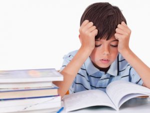 “Tatil Ödevlerini Eğlenceli Hale Getirin”