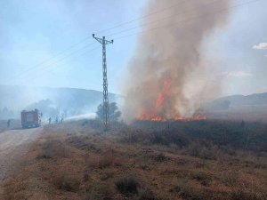 Anız Yangını Paniğe Sebep Oldu