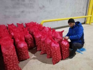 Afyonkarahisar’da Depolardaki Tohumluk Patatesler Kontrol Edildi