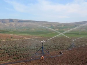 Siirtli Çiftçilere Yüzde 75 Hibe Desteği Verilecek