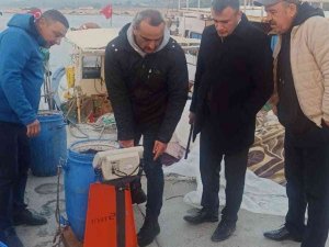 Didim’de Deniz Patlıcanı Denetimi Yapıldı