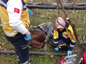 Bahçede Çalışırken Kalp Krizine Yenik Düştü