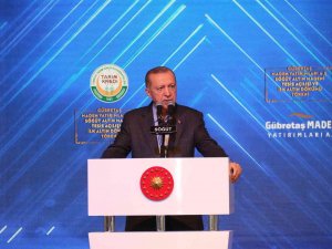 Mart Ayı Sonunda Karadeniz Gazını Hanelere Verilmeye Başlanacak