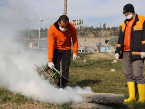Şanlıurfa’da Vektör İle Mücadele Sürüyor