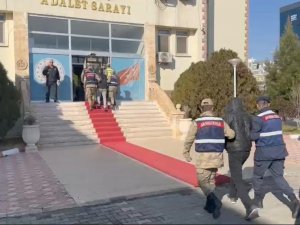 Hayvan Hırsızlığından 4 Şüpheli Yakalandı