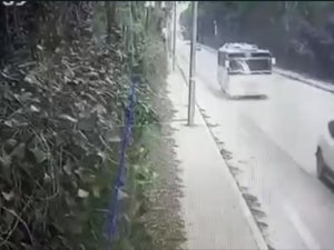 Fırtınanın Devirdiği Ağaç Faciaya Sebep Oluyordu
