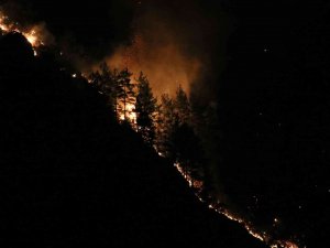 Alanya’daki Orman Yangınına Yakın Yerleşim Yeri Boşaltıldı
