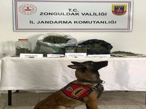 Ereğli’de Uyuşturucu Operasyonu:1 Gözaltı