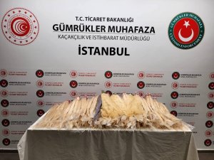 Sabiha Gökçen Havalimanı’nda 4 Valiz Dolusu Gerçek İnsan Saçı Ele Geçirildi
