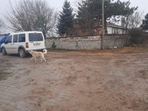 Emekli Astsubay Eşi Ve Çocuklarını Öldürdü