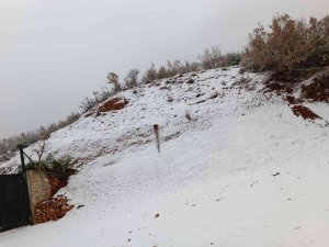 Silvan Beyaza Büründü