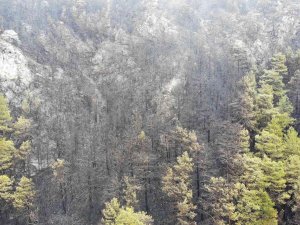 Alanya’da Yanan Ormanlık Alan Havadan Görüntülendi