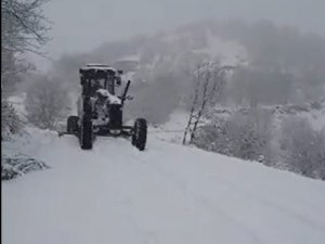 Bingöl’de Kar Nedeniyle 245 Köy Yolu Ulaşıma Kapandı