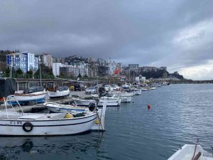 Hamsi Olmadığı İçin Sezonu Kapattılar