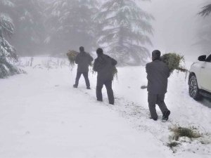 Karla Kaplı Spil Dağında Yaban Hayatı Unutulmadı