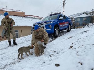 Tunceli’de Jandarmadan Yürekleri Isıtan Davranış
