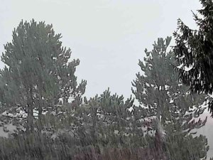 Abant’ta Kar Yağışı Başladı