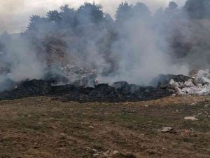 Ormanda Yanan Çöpler Ekipleri Harekete Geçirdi